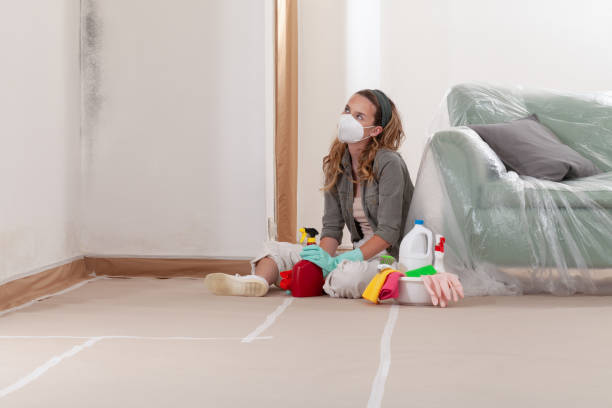Reliable Commercial Mold Remediation contractor in Ramsey, NJ by Car Mold Remediation