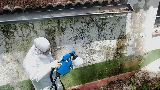 Top rated local Commercial Mold Remediation specialists in Ramsey, NJ